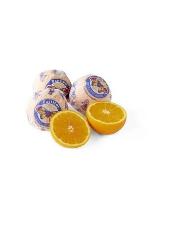 Orange Papillon KG